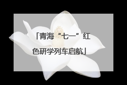 青海“七一”红色研学列车启航