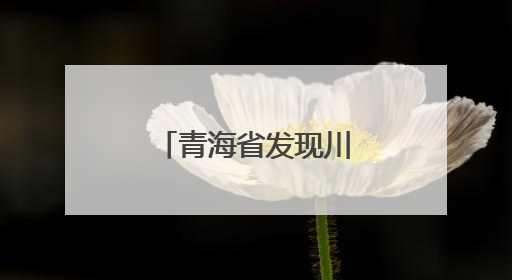 青海省发现川陕哲罗鲑野生自然繁殖种群
