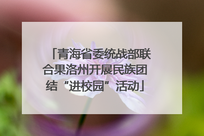 青海省委统战部联合果洛州开展民族团结“进校园”活动