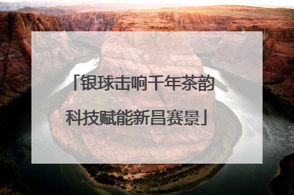 银球击响千年茶韵 科技赋能新昌赛景
