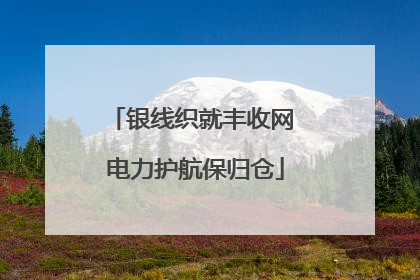 银线织就丰收网 电力护航保归仓