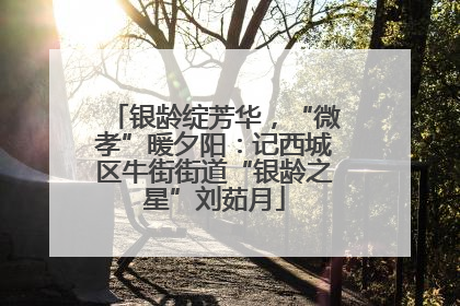 银龄绽芳华，“微孝”暖夕阳：记西城区牛街街道“银龄之星”刘茹月