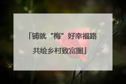铺就“梅”好幸福路 共绘乡村致富图