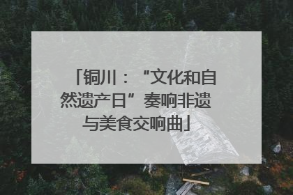 铜川：“文化和自然遗产日”奏响非遗与美食交响曲