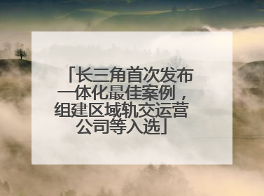 长三角首次发布一体化最佳案例，组建区域轨交运营公司等入选