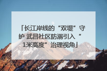 长江岸线的“双堤”守护 武昌社区防溺引入“1米高度”治理视角