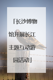 长沙博物馆开展长江主题互动游园活动