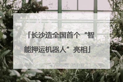 长沙造全国首个“智能押运机器人”亮相