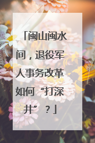 闽山闽水间，退役军人事务改革如何“打深井”？