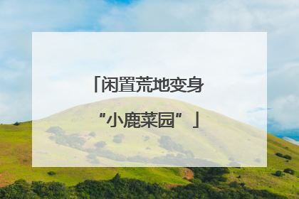 闲置荒地变身“小鹿菜园”