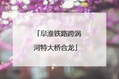 阜淮铁路跨涡河特大桥合龙