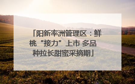 阳新率洲管理区：鲜桃“接力”上市 多品种拉长甜蜜采摘期
