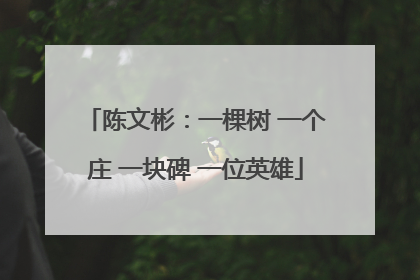 陈文彬：一棵树 一个庄 一块碑 一位英雄
