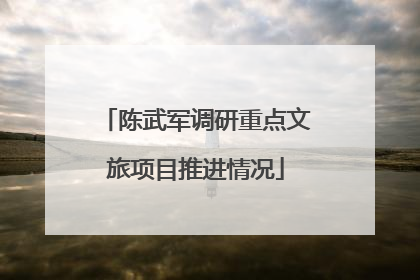 陈武军调研重点文旅项目推进情况