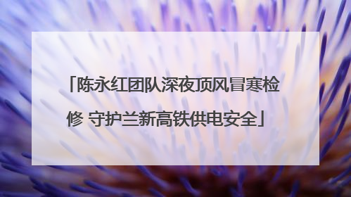 陈永红团队深夜顶风冒寒检修 守护兰新高铁供电安全