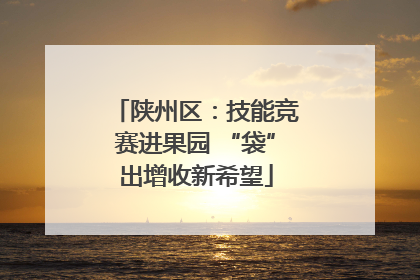 陕州区：技能竞赛进果园 “袋”出增收新希望