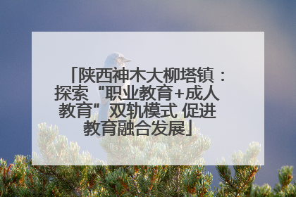 陕西神木大柳塔镇：探索“职业教育+成人教育”双轨模式 促进教育融合发展