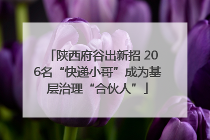 陕西府谷出新招 206名“快递小哥”成为基层治理“合伙人”