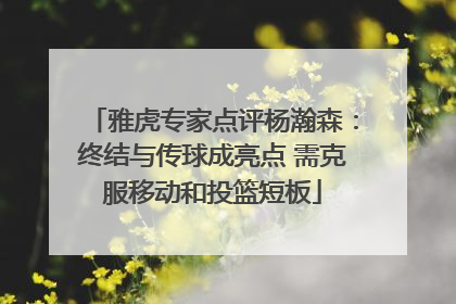 雅虎专家点评杨瀚森：终结与传球成亮点 需克服移动和投篮短板
