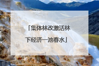 集体林改激活林下经济一池春水
