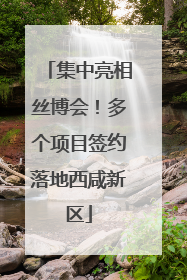 集中亮相丝博会！多个项目签约落地西咸新区