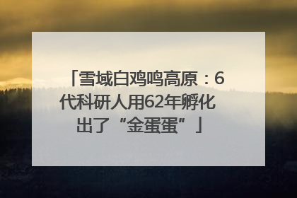 雪域白鸡鸣高原：6代科研人用62年孵化出了“金蛋蛋”