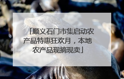 顺义石门市集启动农产品特惠狂欢月，本地农产品现摘现卖