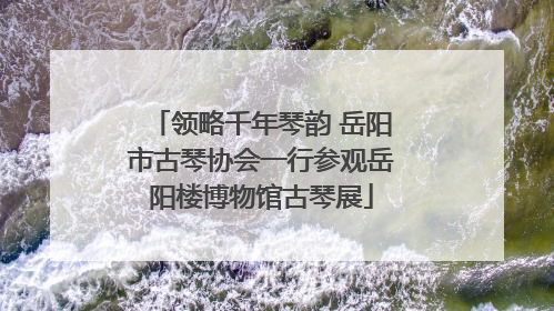 领略千年琴韵 岳阳市古琴协会一行参观岳阳楼博物馆古琴展