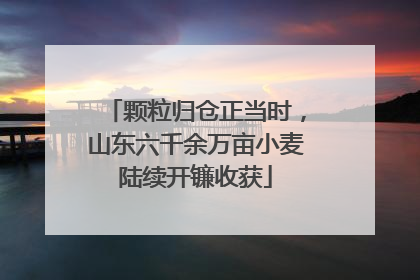 颗粒归仓正当时，山东六千余万亩小麦陆续开镰收获
