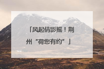 风起倩影摇！荆州“荷您有约”