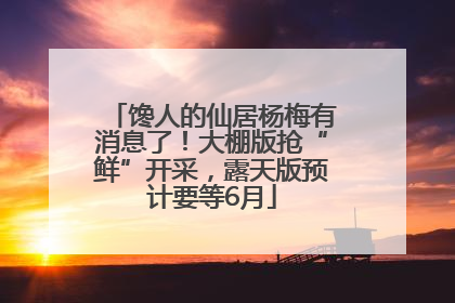 馋人的仙居杨梅有消息了！大棚版抢“鲜”开采，露天版预计要等6月