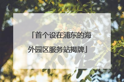 首个设在浦东的海外园区服务站揭牌