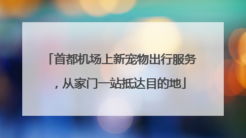 首都机场上新宠物出行服务，从家门一站抵达目的地