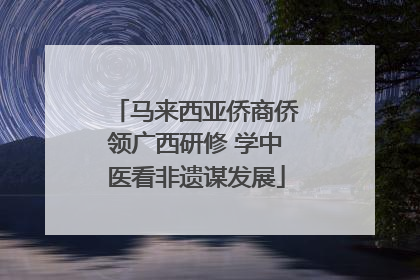 马来西亚侨商侨领广西研修 学中医看非遗谋发展