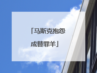 马斯克抱怨成替罪羊