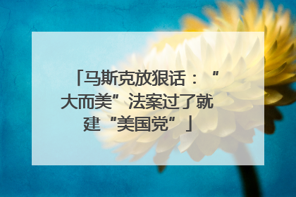 马斯克放狠话：“大而美”法案过了就建“美国党”
