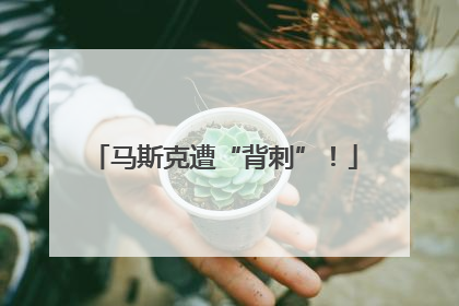 马斯克遭“背刺”！
