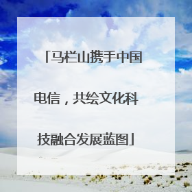 马栏山携手中国电信，共绘文化科技融合发展蓝图