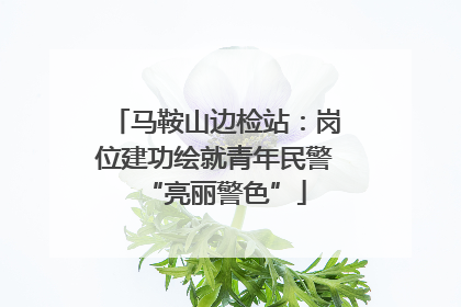 马鞍山边检站：岗位建功绘就青年民警“亮丽警色”