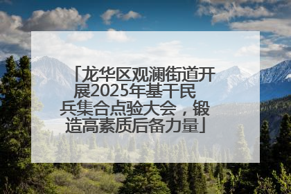 龙华区观澜街道开展2025年基干民兵集合点验大会，锻造高素质后备力量