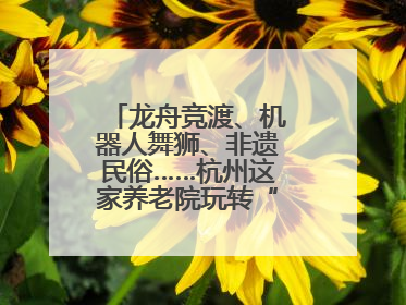 龙舟竞渡、机器人舞狮、非遗民俗……杭州这家养老院玩转“最潮端午”
