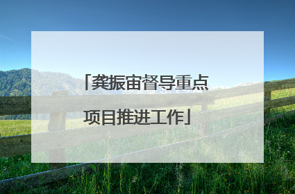 龚振宙督导重点项目推进工作