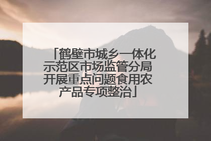 鹤壁市城乡一体化示范区市场监管分局开展重点问题食用农产品专项整治