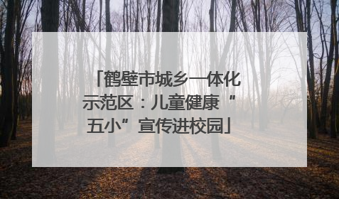 鹤壁市城乡一体化示范区：儿童健康“五小”宣传进校园