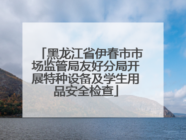 黑龙江省伊春市市场监管局友好分局开展特种设备及学生用品安全检查