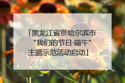黑龙江省暨哈尔滨市“我们的节日·端午”主题示范活动启动