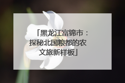 黑龙江富锦市：探秘北国粮都的农文旅新样板