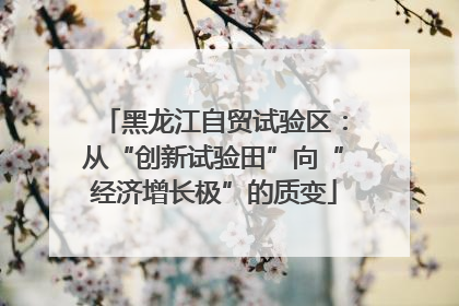 黑龙江自贸试验区：从“创新试验田”向“经济增长极”的质变
