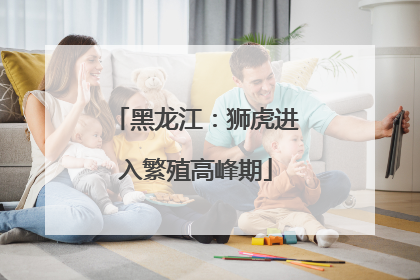 黑龙江：狮虎进入繁殖高峰期