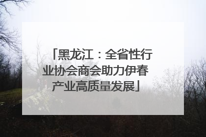 黑龙江：全省性行业协会商会助力伊春产业高质量发展